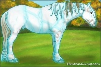 Horse Color:Thunderstruck Chestnut Ice Sabino Splash Appaloosa