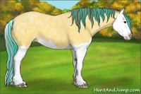 Horse Color:Painted Buckskin Ice Splash Varnish 