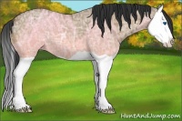 Horse Color:Bay Ice Dun Splash 