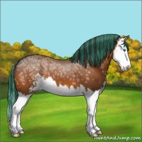Horse Color:Painted Bay Ice Sabino Splash 