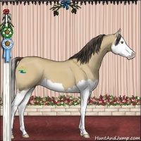 Horse Color:Buckskin Dun Splash