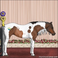 Horse Color:Brown Tobiano Rabicano 