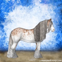 Horse Color:White Spotted Bay Splash  and White Spotted Silver Bay Splash 