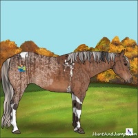 Horse Color:Brown Tobiano  and Silver Brown Ice Tobiano 