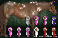 Horse Color:White Spotted Liver Chestnut Sabino Rabicano