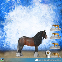 Horse Color:Brown Sabino Rabicano 
