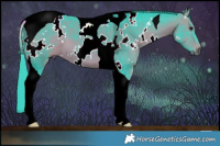 Horse Color:Watercolor White Spotted Bay Mushroom Tobiano 