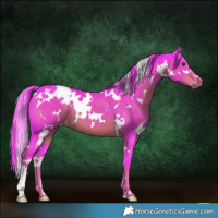 Horse Color:Watercolor White Spotted Liver Chestnut 