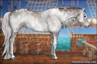 Horse Color:White Spotted Chocolate Silver Blue Onyx Chinchilla Brindle 