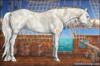 Horse Color:White Spotted Chocolate Silver Smoky Grullo Chinchilla Ice Pearl Onyx