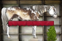 Horse Color:Liver Red Onyx Mushroom Sabino Brindle