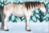 Horse Color:White Spotted Bay Splash  and White Spotted Bay Splash 