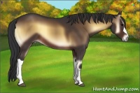 Horse Color:Brown Onyx