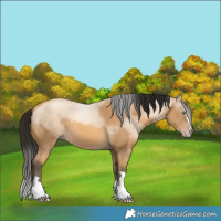 Horse Color:Gray Amber Cream Champagne 
