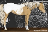 Horse Color:Palomino Snowcap 
