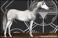 Horse Color:Smoky Grullo Roan Sabino Splash 