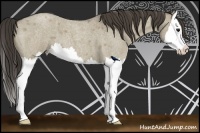 Horse Color:Smoky Grullo Roan Splash 