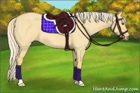 Horse Color:Palomino Dun 