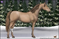 Horse Color:Black Pearl