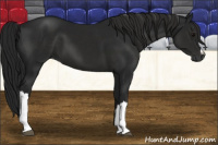 Horse Color:Gray Black 