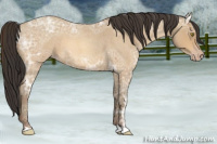 Horse Color:Amber Champagne Ice Roan 