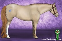 Horse Color:Smoky Black Pearl 