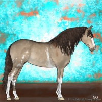 Horse Color:White Spotted Liver Red Dun Rabicano 