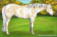 Horse Color:White Spotted Silver Classic Cream Champagne Splash Frame 