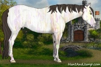 Horse Color:Amber Champagne Ice Rabicano 