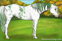 Horse Color:Watercolor Black Ice Sabino 