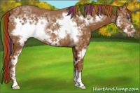 Horse Color:Painted Chestnut Ice Sabino Frame Rabicano