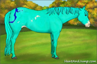 Horse Color:Palomino Ice Appaloosa 