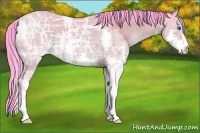 Horse Color:Watercolor Buckskin Ice Splash