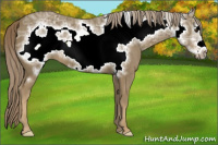 Horse Color:Chocolate Palomino Ice Frame 