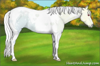 Horse Color:Chestnut Chinchilla Ice Tobiano 