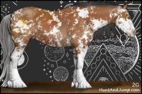 Horse Color:Bay Sabino 
