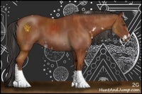 Horse Color:Bay Sabino  and Bay Sabino 