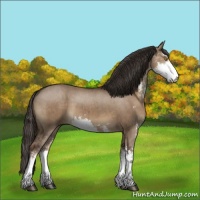 Horse Color:Liver Red Dun Sabino Brindle