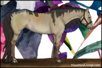 Horse Color:Liver Red Dun 