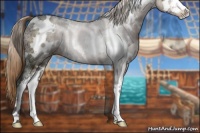 Horse Color:White Spotted Liver Chestnut Ice Sabino Rabicano