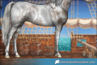 Horse Color:White Spotted Liver Red Dun Ice Mushroom Tobiano Rabicano