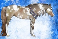 Horse Color:White Spotted Liver Red Dun Sabino 
