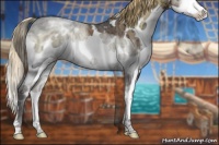 Horse Color:White Spotted Liver Red Onyx Ice Sabino Splash 