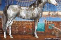 Horse Color:White Spotted Liver Red Dun Sabino 