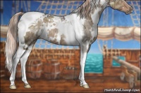 Horse Color:White Spotted Liver Red Dun Ice Tobiano 