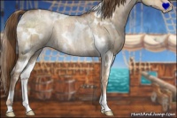 Horse Color:White Spotted Liver Red Dun Ice Pearl