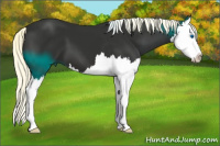 Horse Color:Liver Chestnut Mushroom Splash 