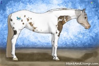 Horse Color:White Spotted Chocolate Palomino Tobiano Varnish 