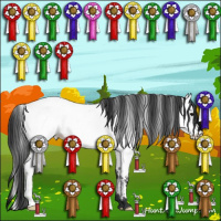 Horse Color:Blue Roan Appaloosa 