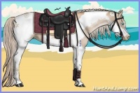 Horse Color:Chocolate Palomino Pearl Tobiano  and Chocolate Palomino Pearl Tobiano Frame 